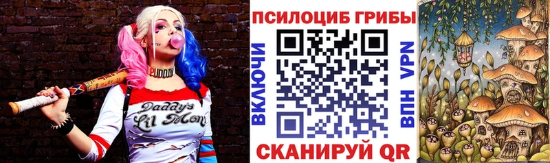 Галлюциногенные грибы GOLDEN TEACHER  Купить где  Тогучин 